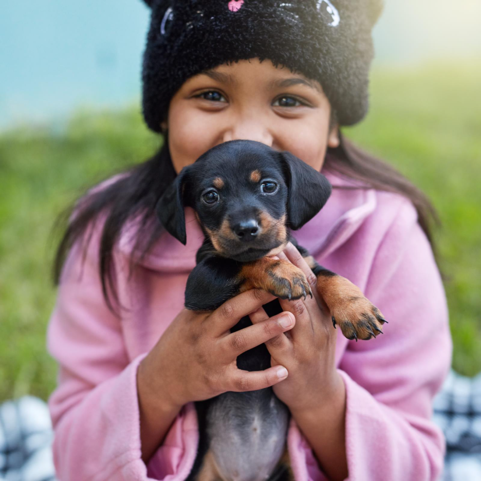 a little girl holding a black and tan puppy